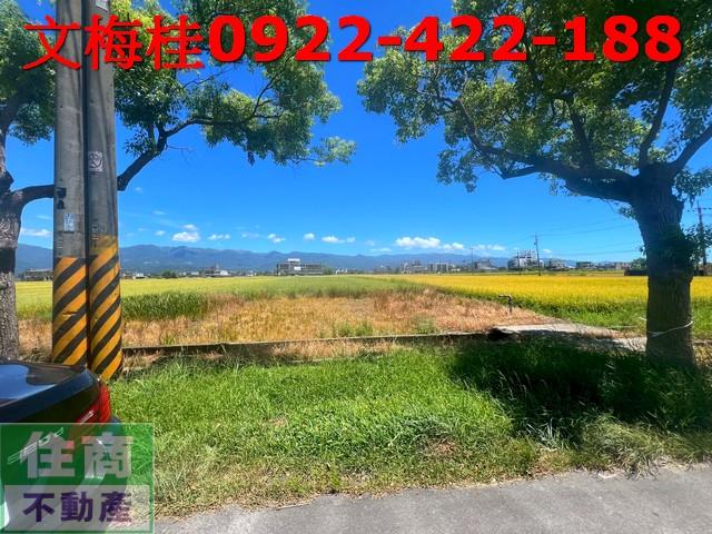宜蘭農地-2