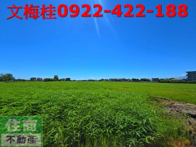 宜蘭農地-0