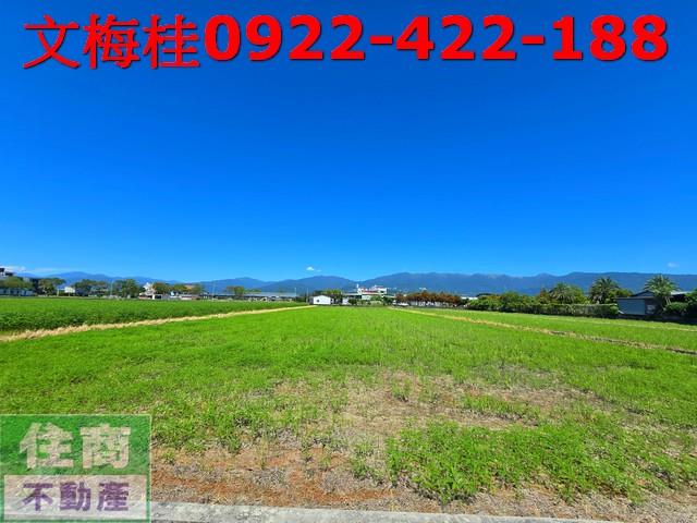 宜蘭農地-3