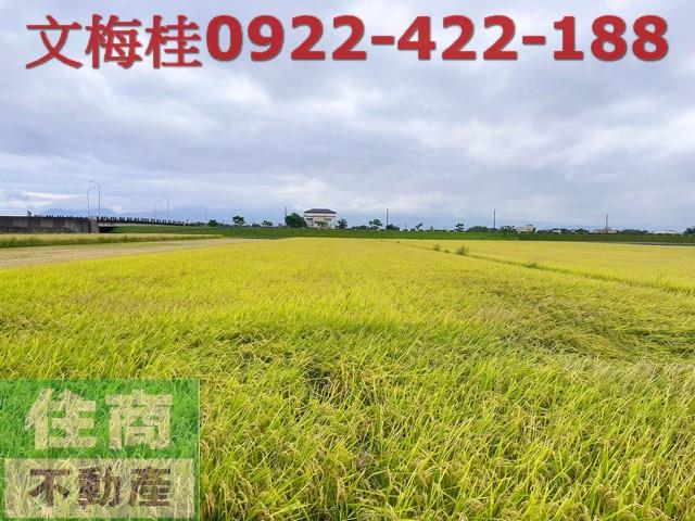 宜蘭農地-0