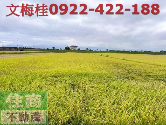 宜蘭農地-1