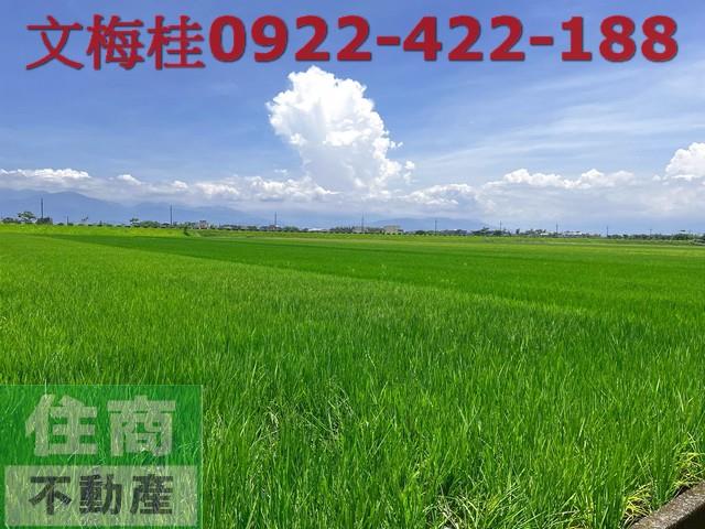 宜蘭農地-3