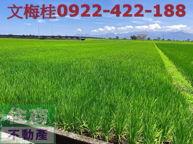 宜蘭農地-4