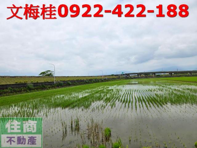 宜蘭農地-9