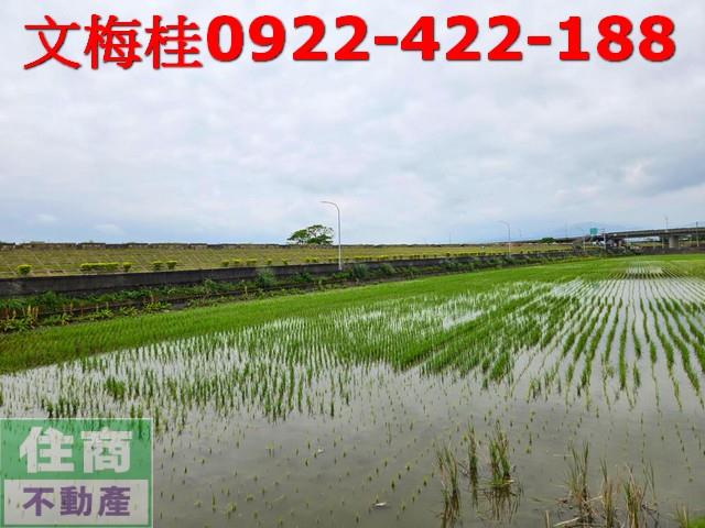宜蘭農地-5