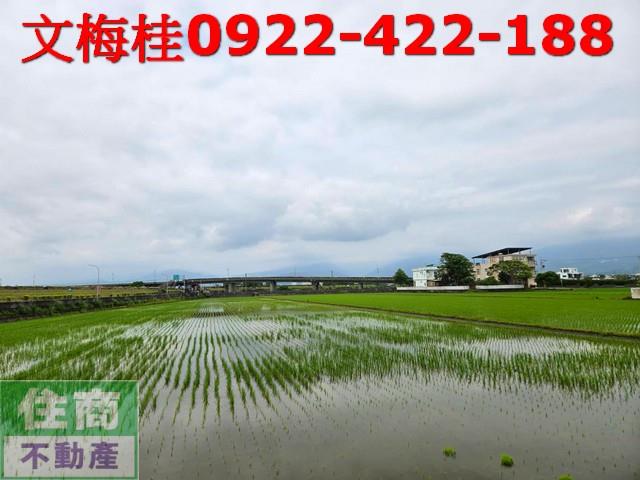 宜蘭農地-6