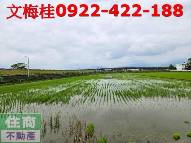 宜蘭農地-7