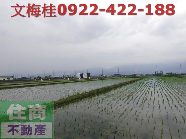 宜蘭農地-9