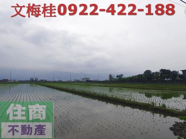 宜蘭農地-10