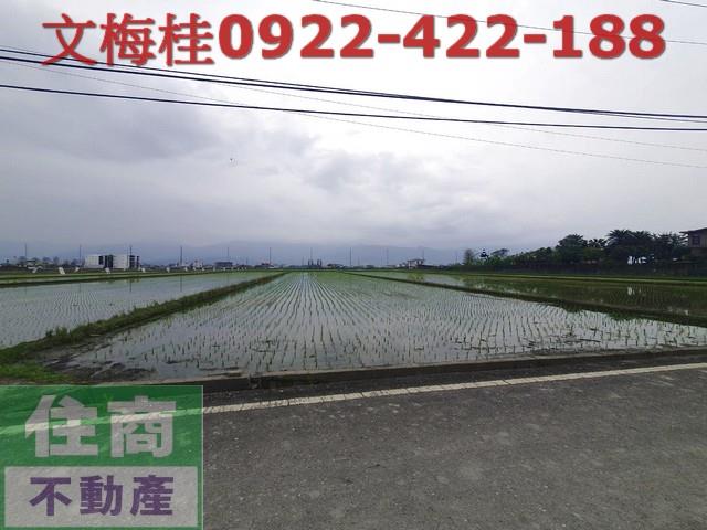 宜蘭農地-5