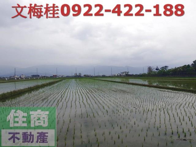 宜蘭農地-8