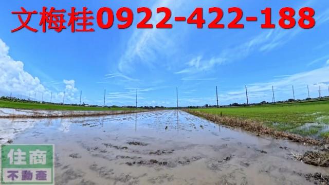 宜蘭壯圍農地-2