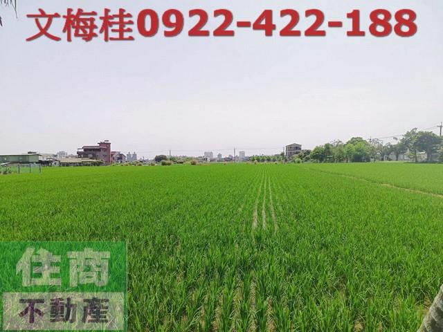 宜蘭宜蘭市農地-0