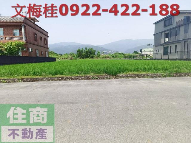 宜蘭宜蘭市農地-4