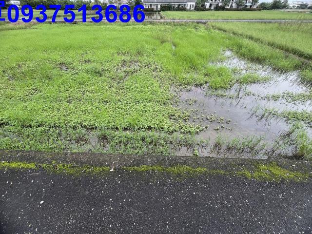 宜蘭市農地-7