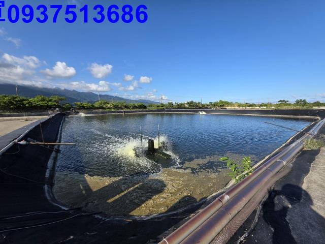 宜蘭農地-12