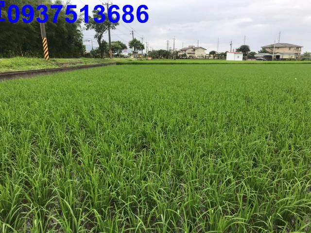 宜蘭農地-9
