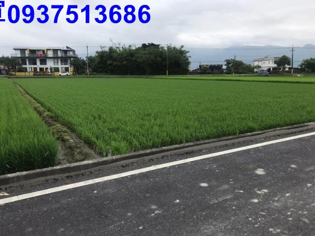 宜蘭農地-2