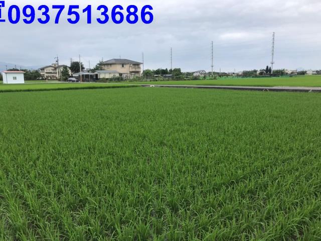 宜蘭農地-7