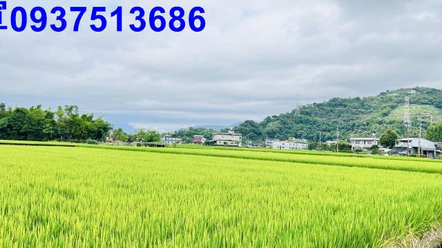 員山農地-2