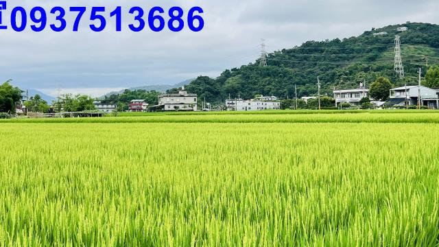 員山農地-5