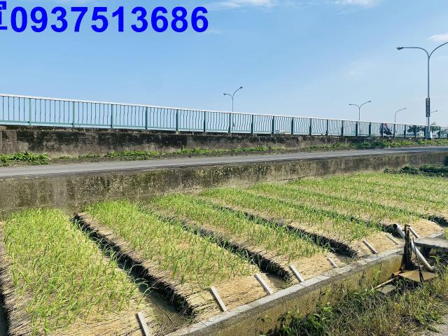 宜蘭市農地-3