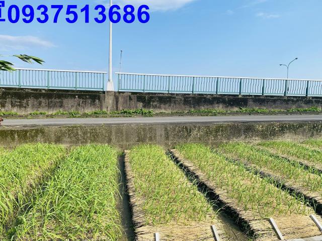宜蘭市農地-4