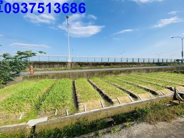 宜蘭市農地-5