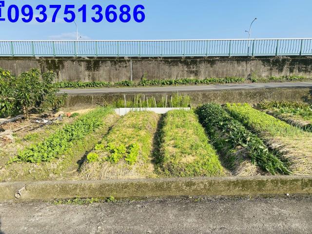 宜蘭市農地-2