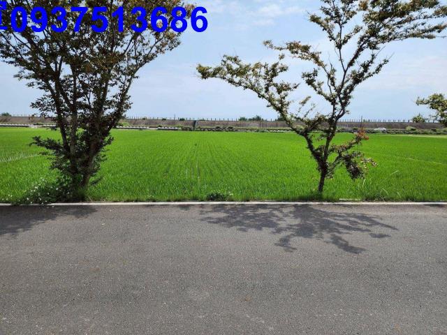 壯圍農地-5