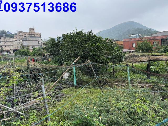 蘇澳建地-0