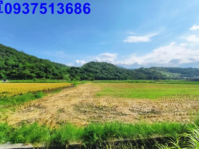 宜蘭農地-2