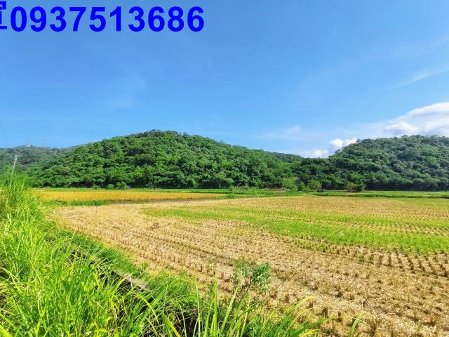 宜蘭農地-3