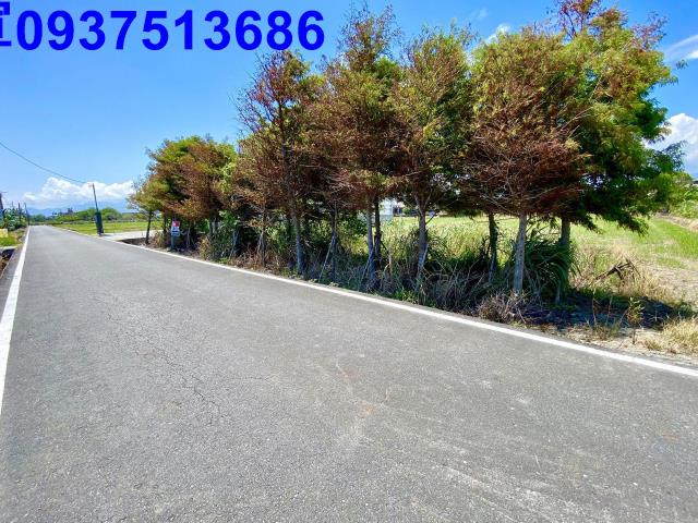 宜蘭農地-5