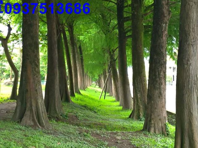 宜蘭農地-11