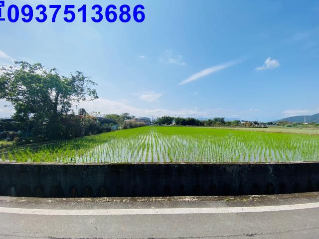 宜蘭農地-9
