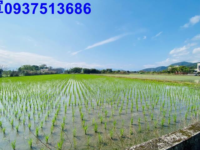 宜蘭農地-1