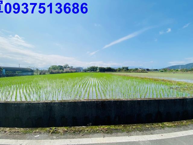 宜蘭農地-0