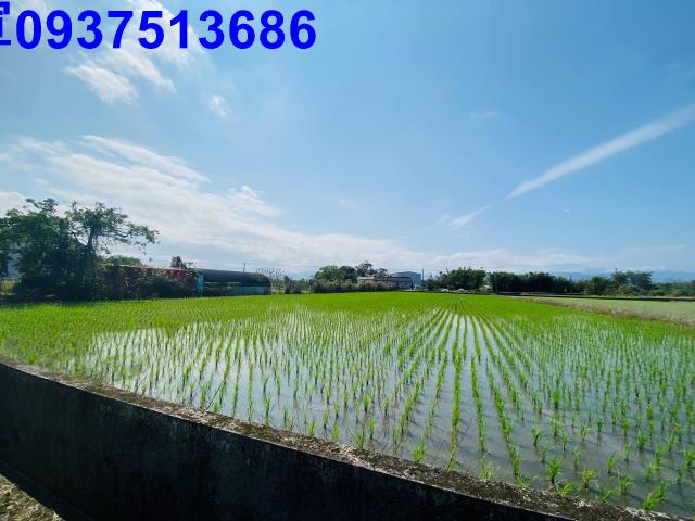 宜蘭農地-3