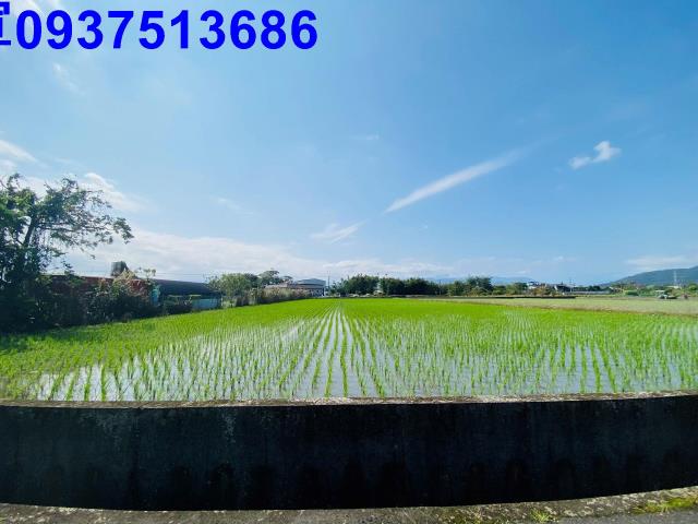 宜蘭農地-4