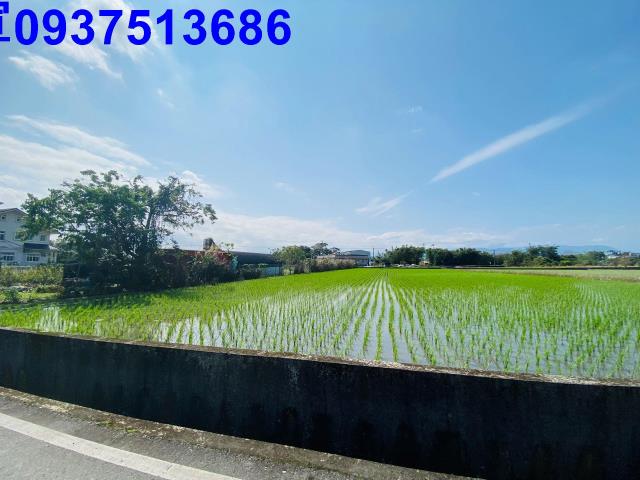 宜蘭農地-5