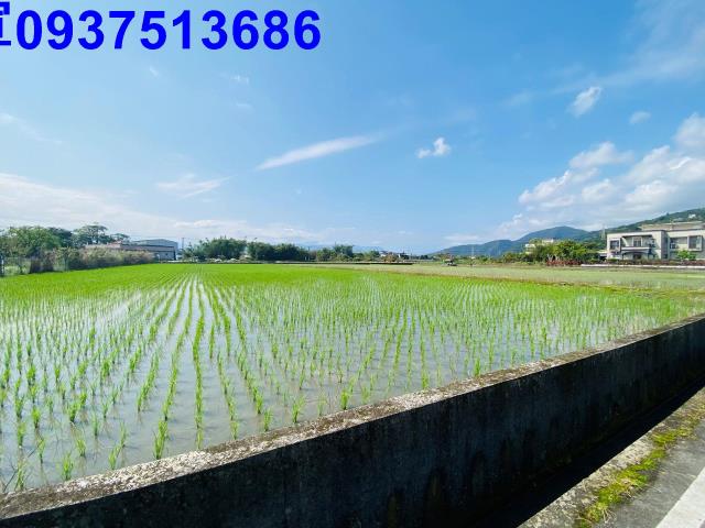 宜蘭農地-6