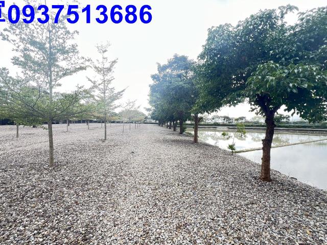 頭城農地-3