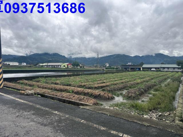 三星農地-9