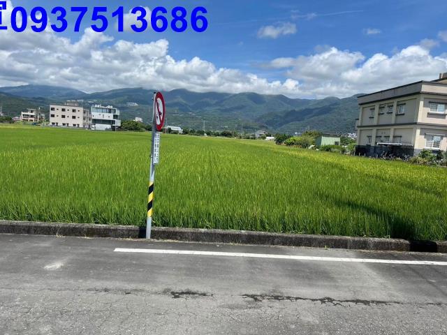 礁溪農地-2