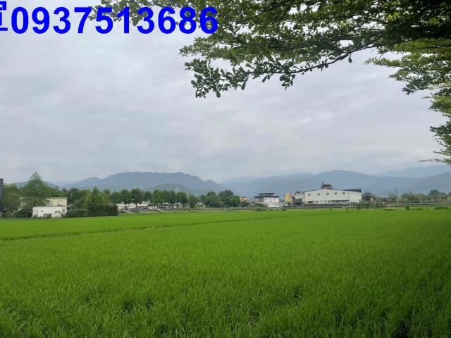 宜蘭農地-10