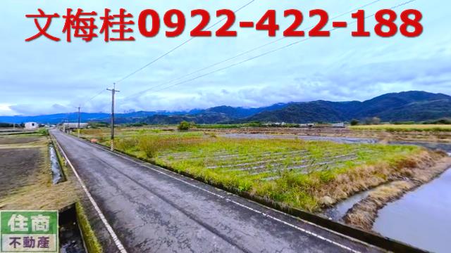 三星農地-5