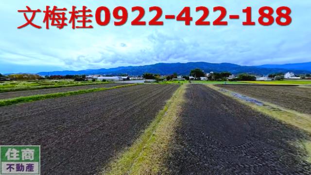 三星農地-6