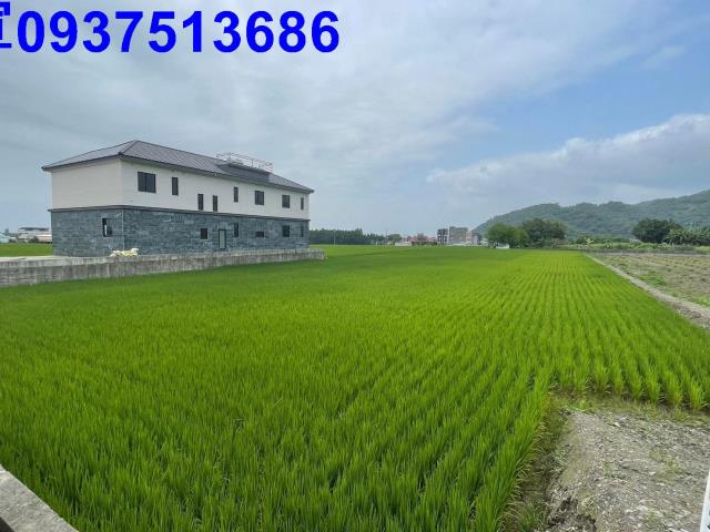礁溪農地-8