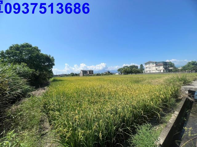員山農地-0